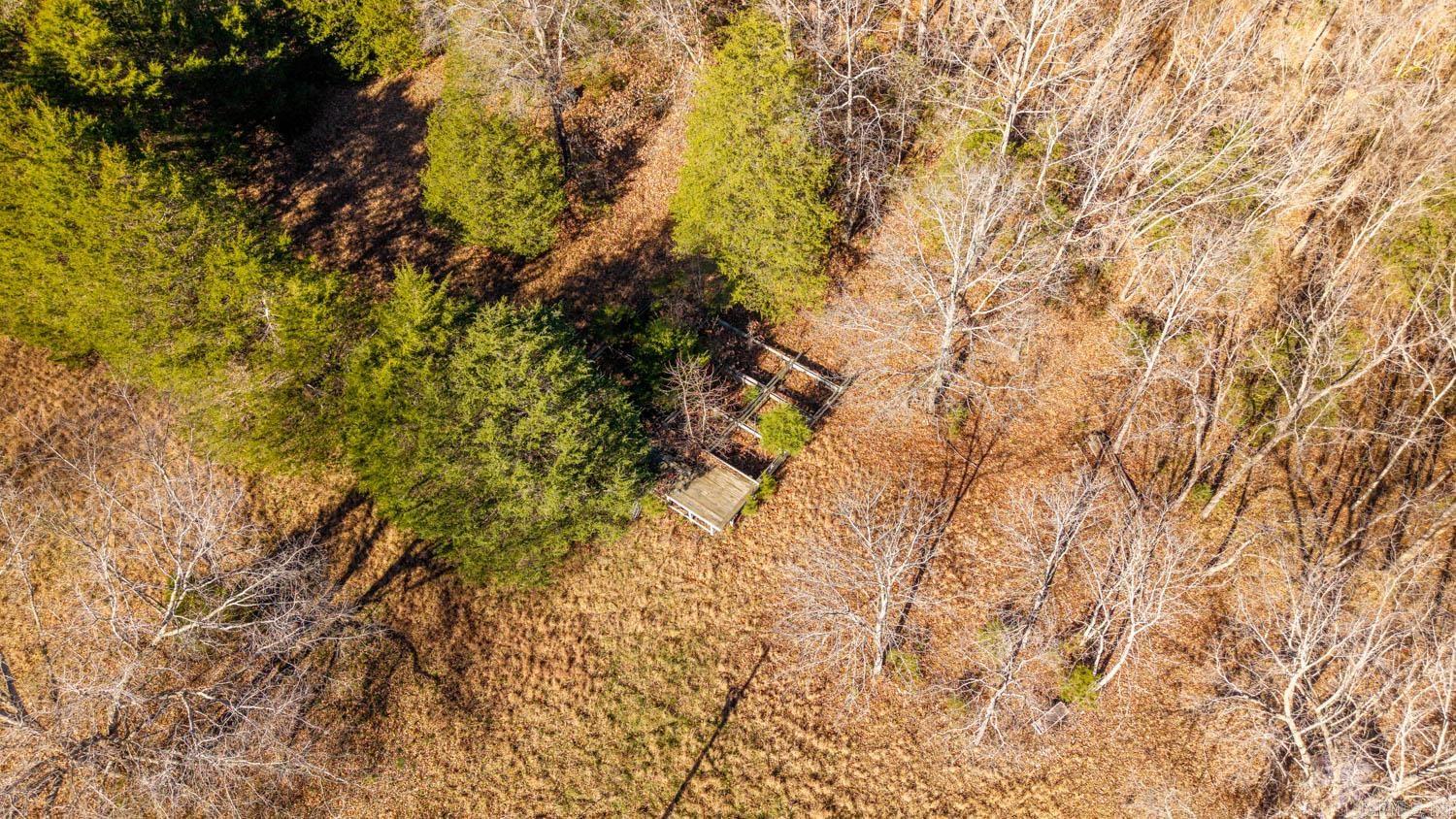 TAYLOR FOSTER BRANCH - Land