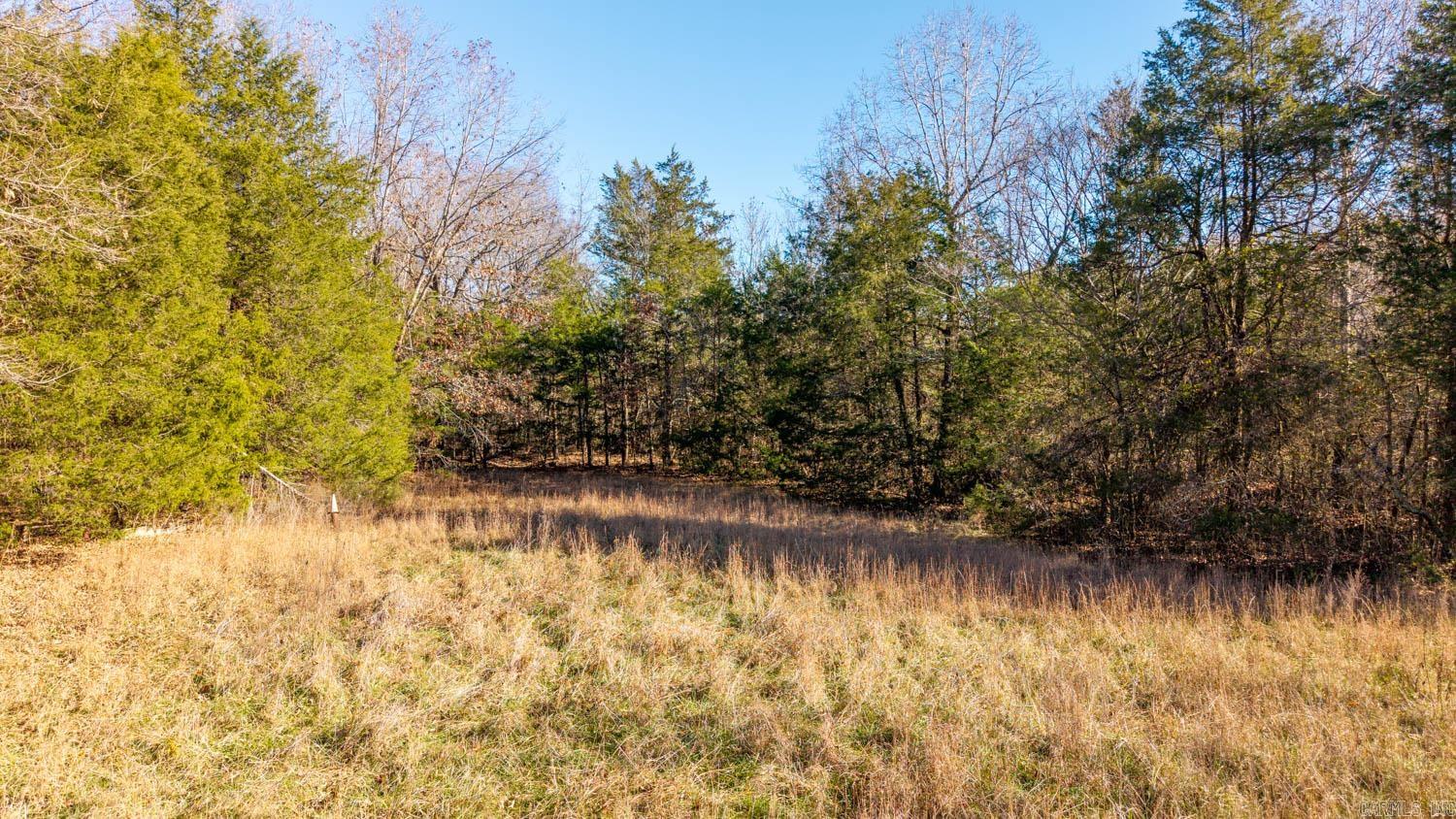 TAYLOR FOSTER BRANCH - Land