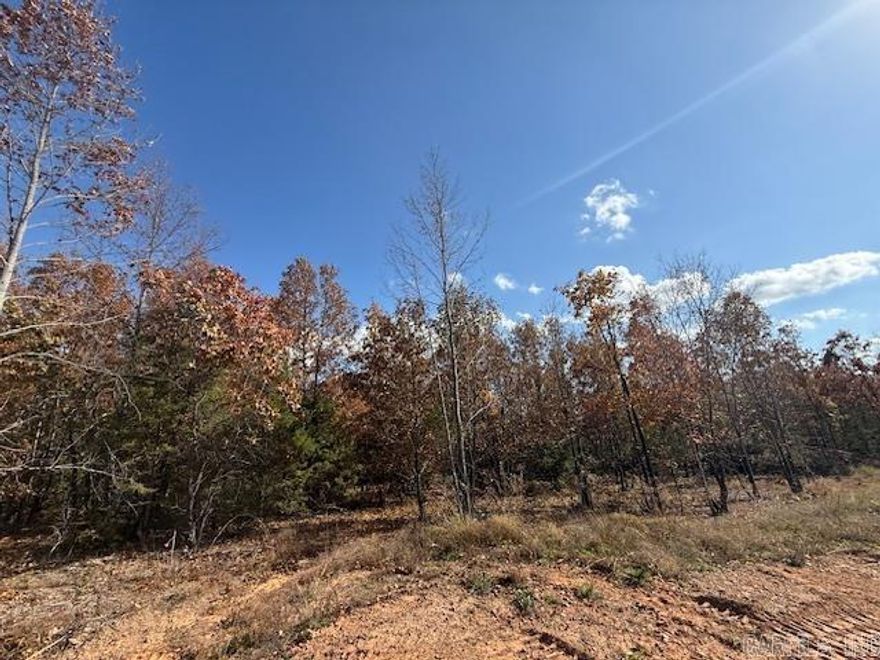 Wooded lot perfect for building your home or building a home to sale.  You could leave trees at the back of the lot for privacy.  All utilities are on the property. 1200 sq. ft. minimum