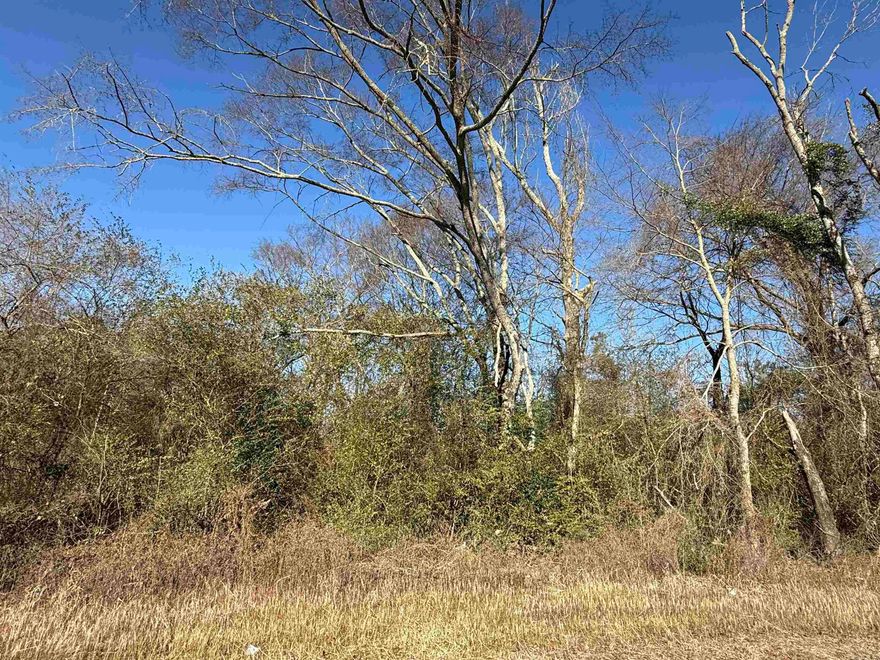80 acres located on Russell Road, pine timber recently cut, lots of hardwood timber still remains.  Creek running through the property.