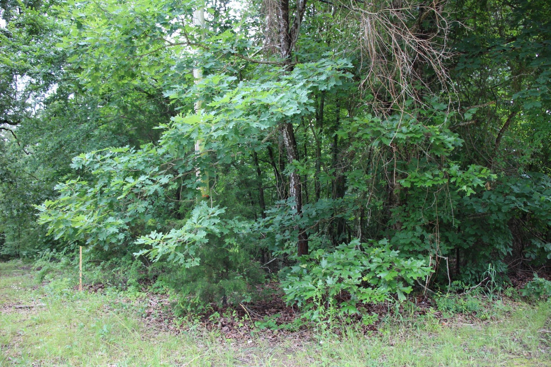 Prime location for water enthusiasts! Minutes from Bull Sholas Lake and White River.Ā This mostly flat, wooded property is right outside city limits with no restrictions. Approximately 100 ft of Hwy 178 frontage, electric and city water available.