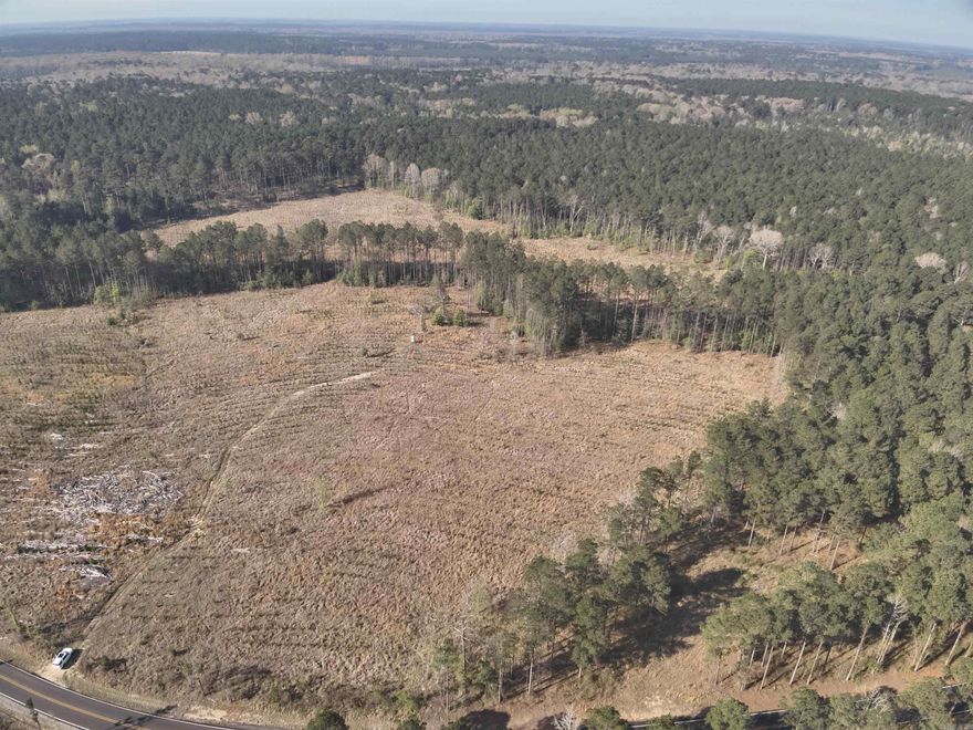 Located just southwest of El Dorado in Union County, Arkansas, the Three Creeks West Tract offers a versatile +/-39-acre property well-suited for residential, agricultural, or investment use. With paved county road frontage forming the eastern boundary, the tract provides excellent accessibility along with utilities, making it an ideal candidate for a homesite or rural getaway.  The property features gently rolling topography and productive sandy loam soils, offering strong potential for pasture conversion or continued land management. The approximately three-year-old pine plantation provides an early-stage timber investment opportunity, allowing a new owner to benefit from future growth and long-term value.  Whether you’re looking to build, invest or enjoy a manageable-sized tract in a desirable South Arkansas location, the Three Creeks West tract presents a well-rounded opportunity with multiple uses and strong upside potential.