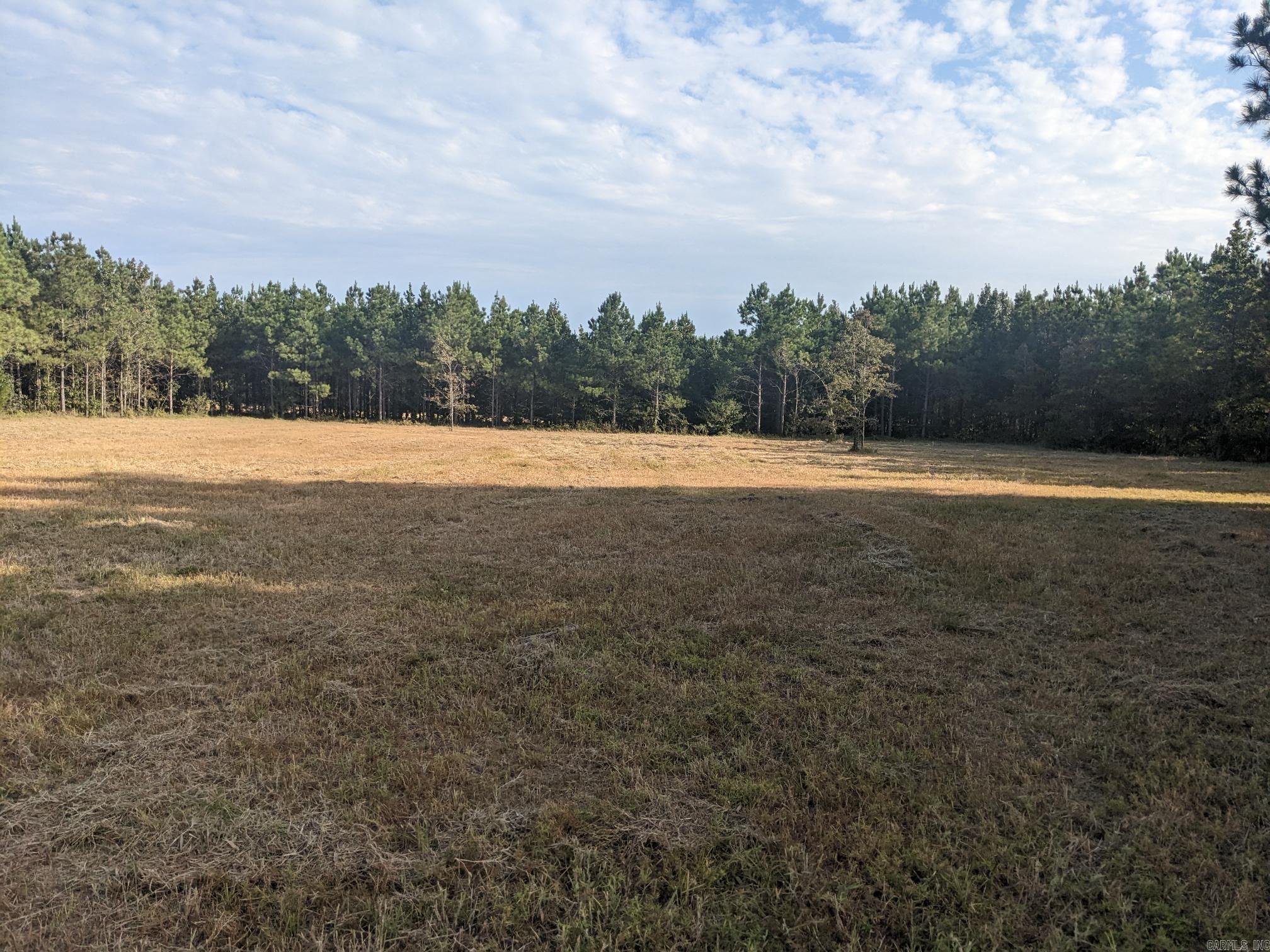 Thinking of building your dream home in southeast Arkansas "SEARK"? The Young Pines subdivision in the community of RYE takes "living in the country" to a new level. Most of the properties have a wooded perimeter for an owner that wants privacy, but also prefers the sense of community from having neighbors close by. See agent remarks