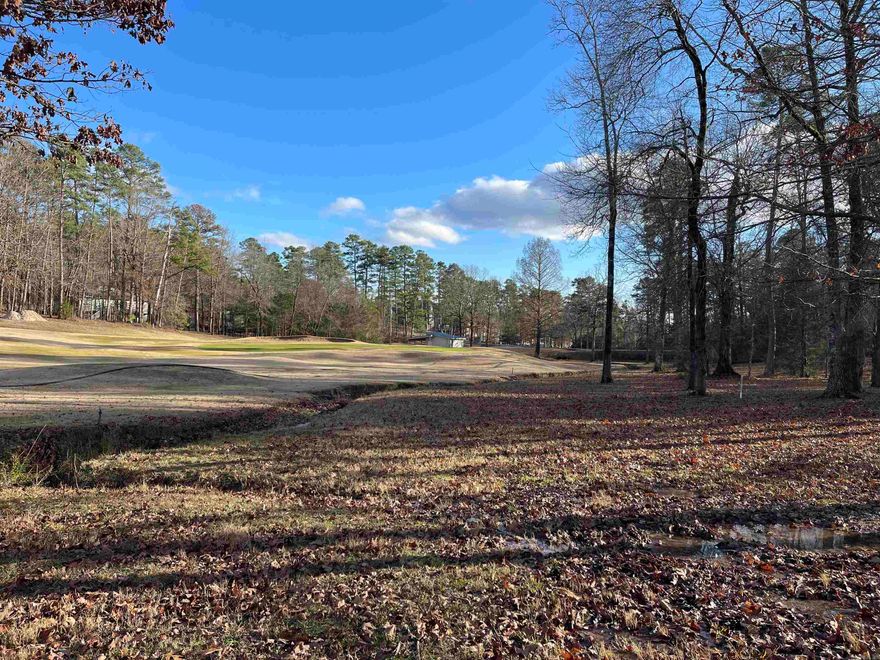 Wonderful Balboa Golf course lot  6th green to build your "forever" home on,  and start living the Golf Experience lifestyle that is Hot Springs Village; America's largest gated community. 9.5 Golf Courses to explore, 30 plus miles of nature/hiking trails, 11 lakes and plenty of activities/over 200 groups to entertain you.  Plan your visit today and come see what all the fuss is about!  The last 25 pictures are of Hot Springs Village community.  See agent remarks