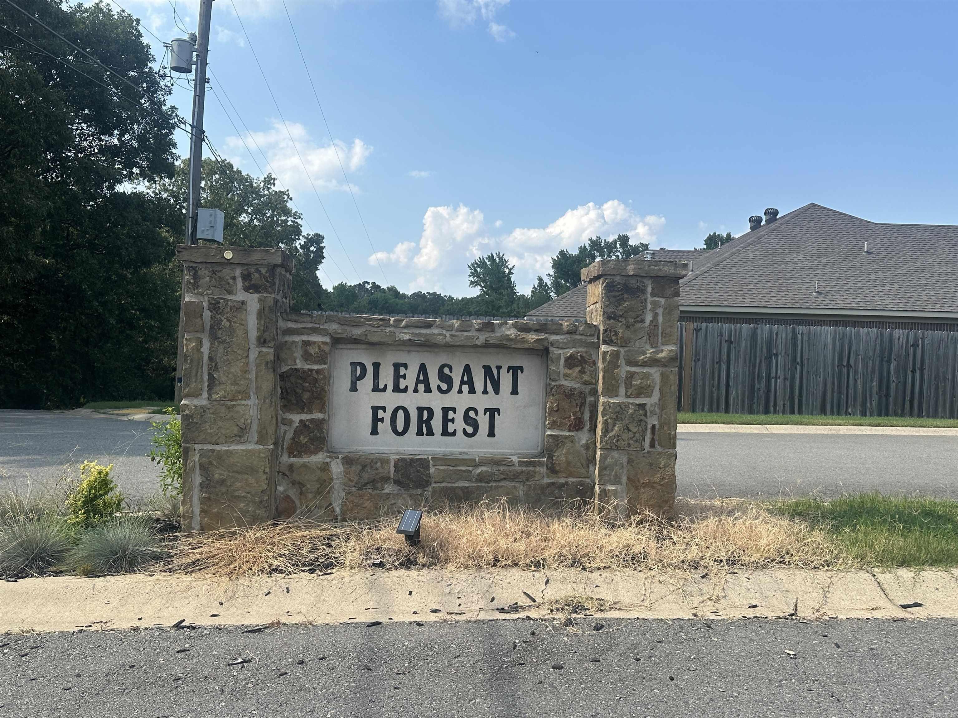 Pleasant Forest - Land