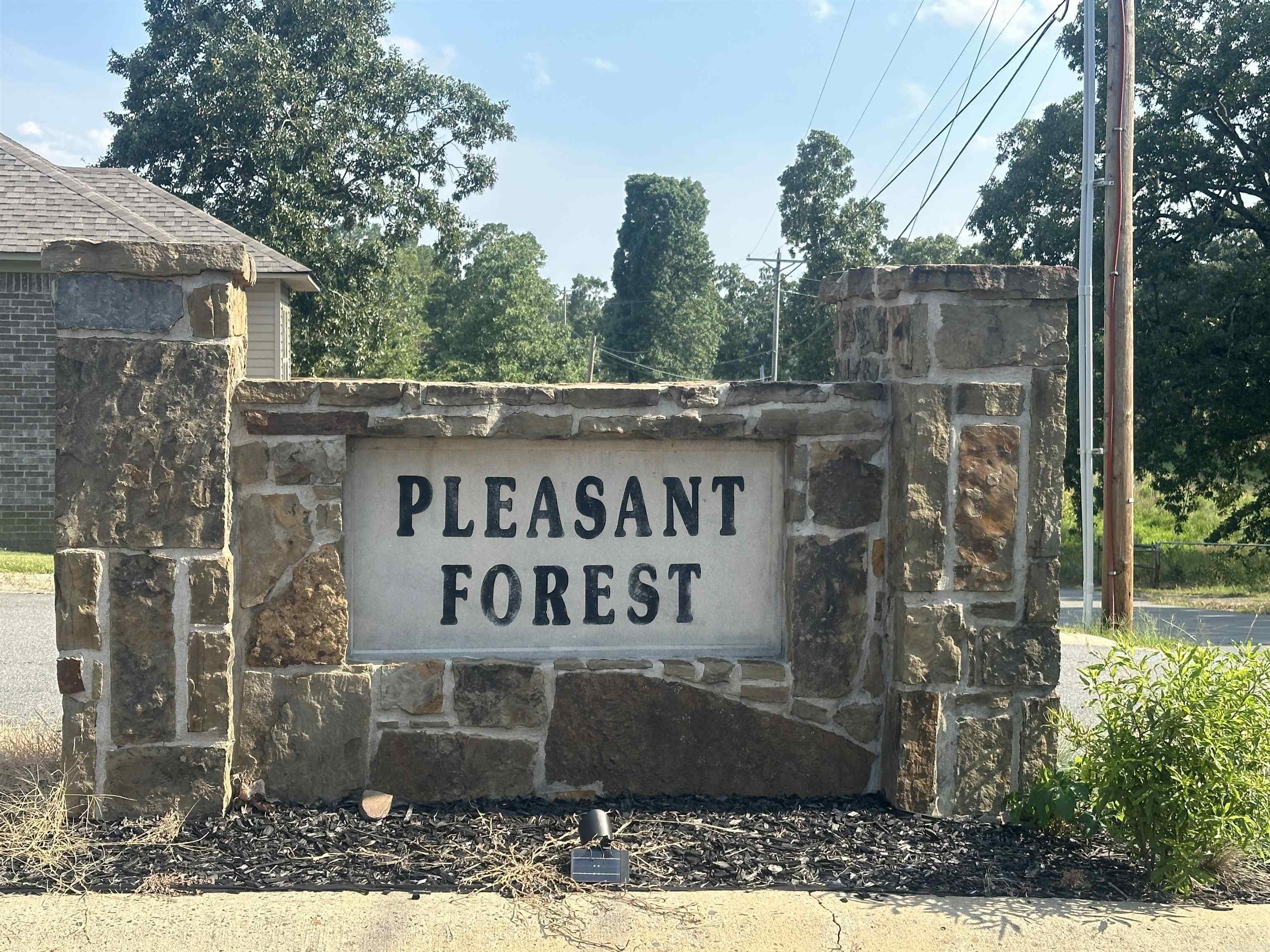 Pleasant Forest - Land