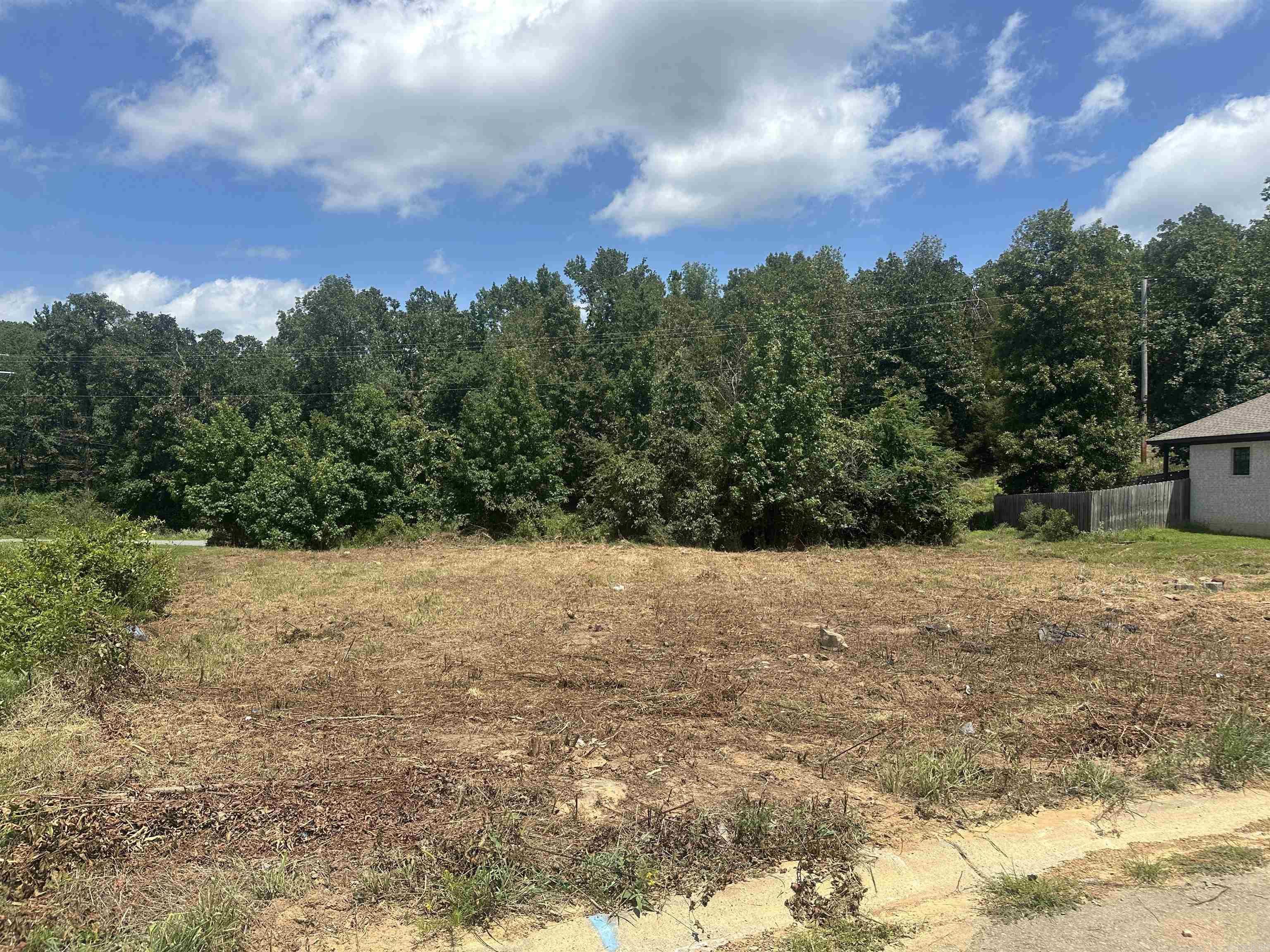 Pleasant Forest - Land