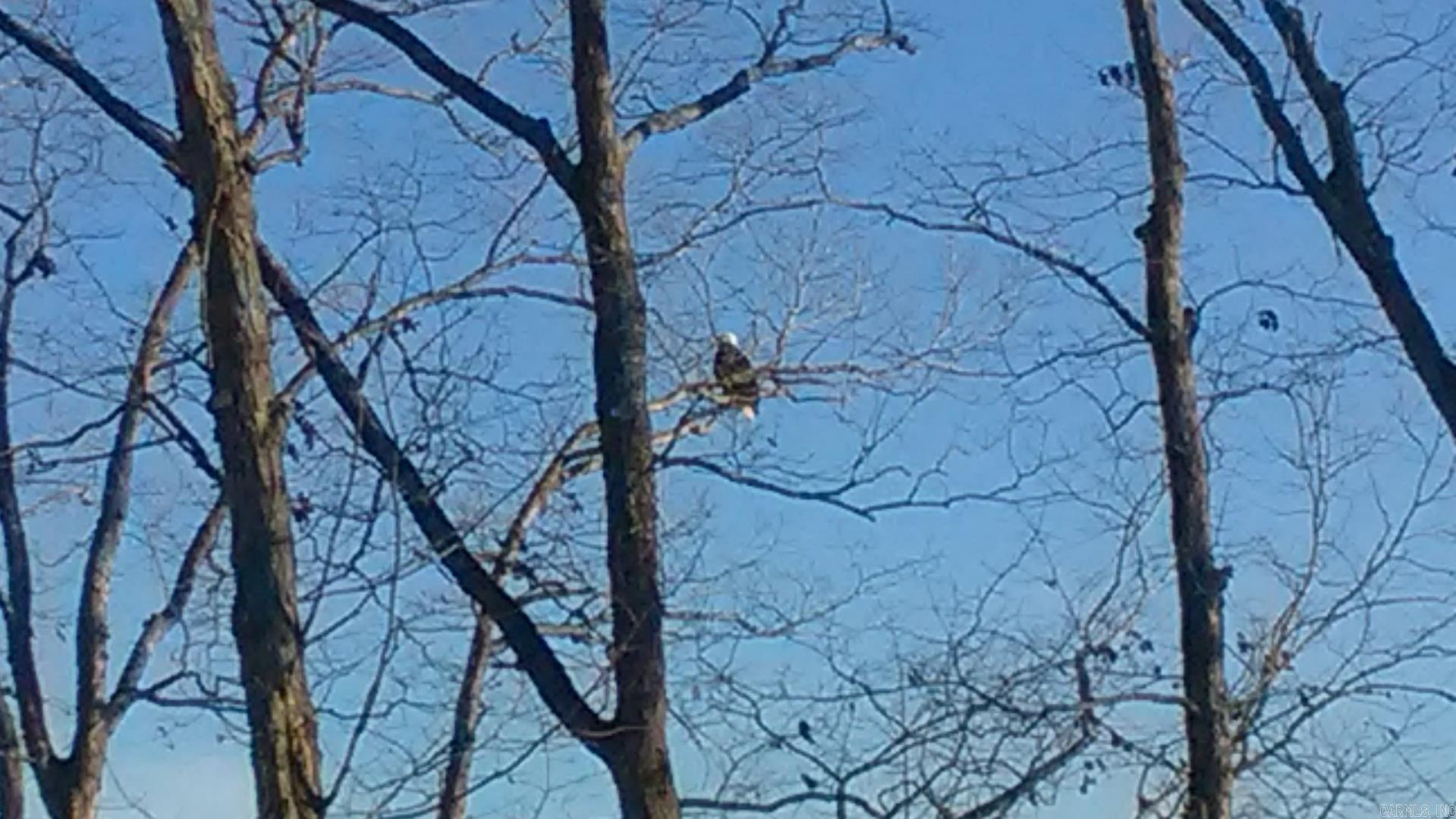 ZAFIRO - Residential