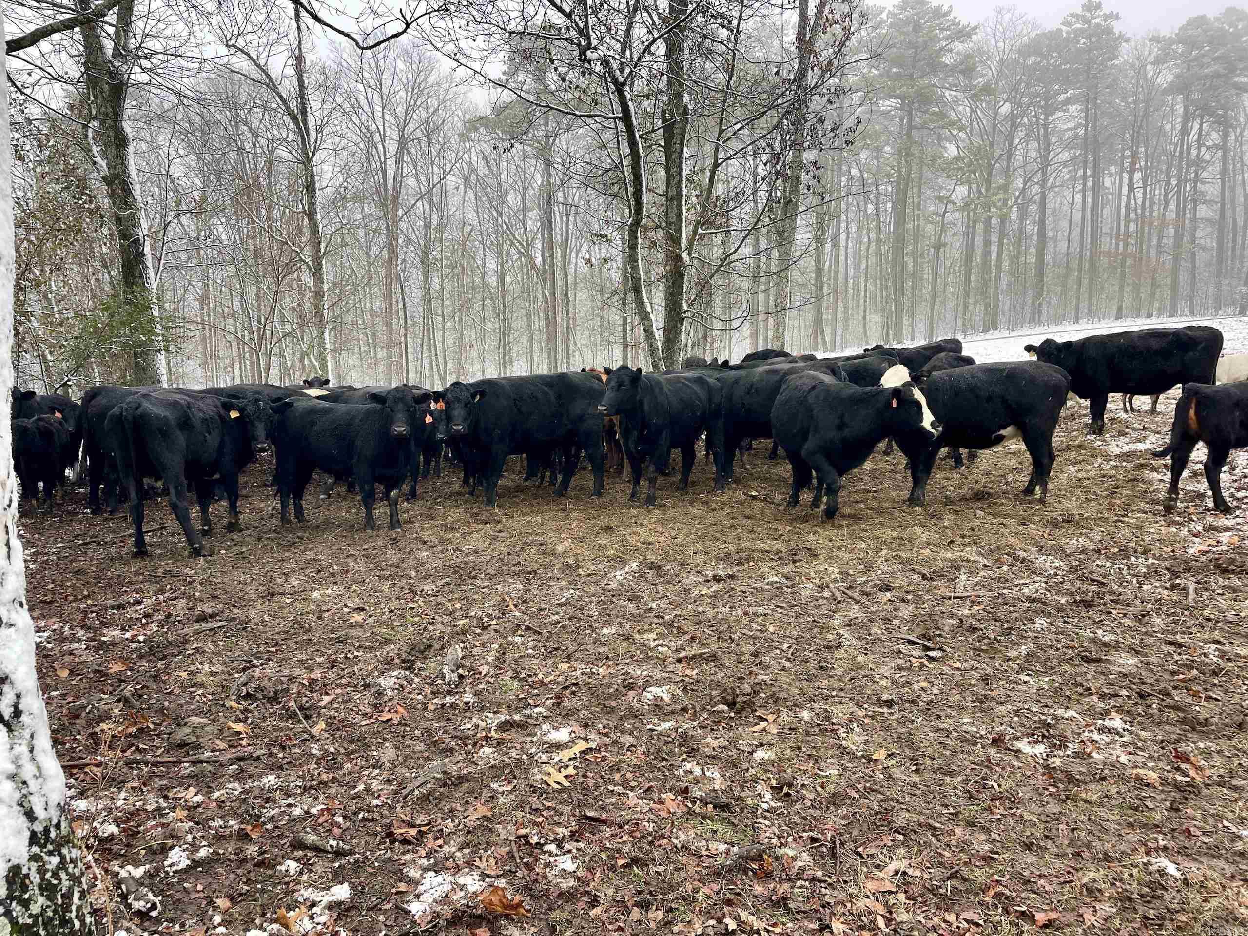 Not in Subdivision - Land