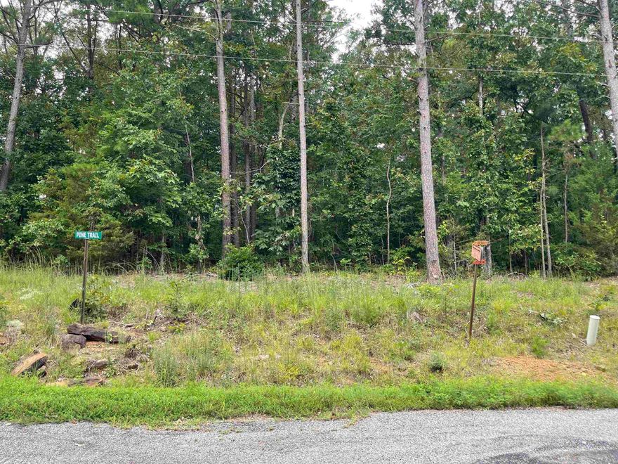 Great Location only approximately 1 mile to Lacey's Marina.  See plat and covenants online under docs. Nice spot to build a cool lake house in the woods not far from the lake.