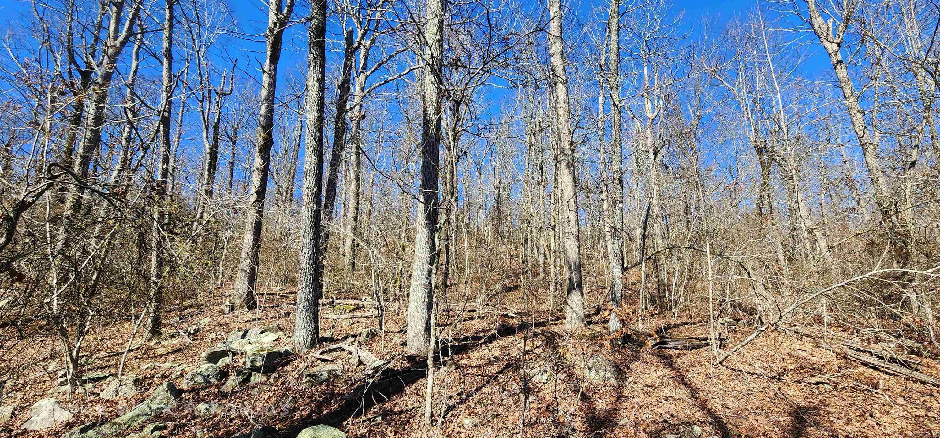 Metes & Bounds - Land