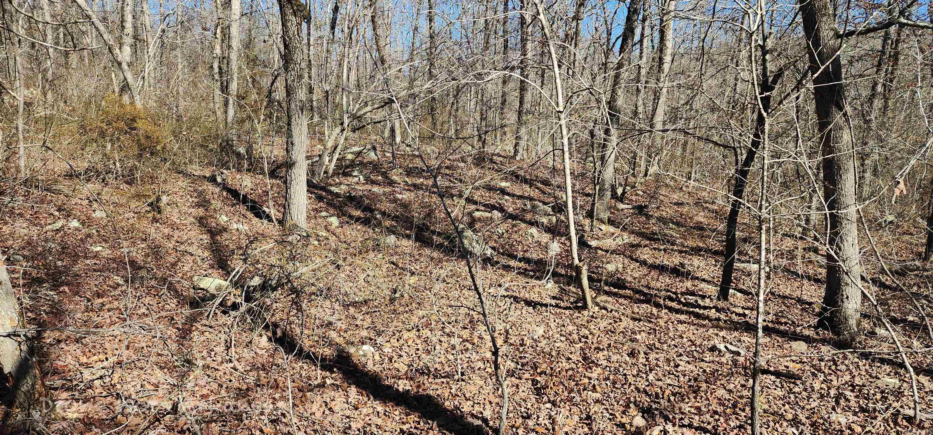 Metes & Bounds - Land