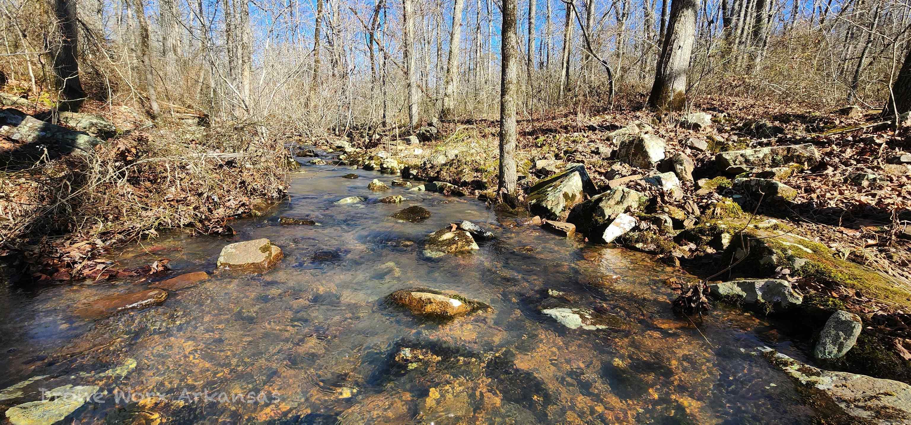 A wet weather creek passes through this 10 acre hunting tract. It is heavily wooded and slopes easily across making a building spot easy. Whether you keep it as is and use for hunting land, or a spot to plant a small cabin, electricity is close by. Getting to this piece of earth is not difficult and close to the main hwy 66 in Timbo. Just a short drive to Leslie, AR, you will find local, small town shopping, restaurants, and wonderful people. The great town of Mountain View is just a short drive in the opposite direction. At this price, you can't afford to not grab your very own Ozark haven.