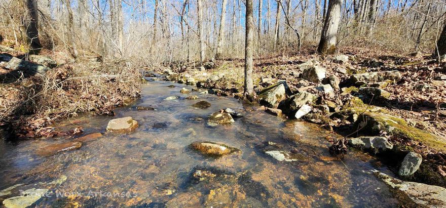 A wet weather creek passes through this 10 acre hunting tract.  It is heavily wooded and slopes easily across making a building spot easy.  Whether you keep it as is and use for hunting land, or a spot to plant a small cabin, electricity is close by.  Getting to this piece of earth is not difficult and close to the main hwy 66 in Timbo.  Just a short drive to Leslie, AR, you will find local, small town shopping, restaurants, and wonderful people.  The great town of Mountain View is just a short drive in the opposite direction. At this price, you can't afford to not grab your very own Ozark haven.