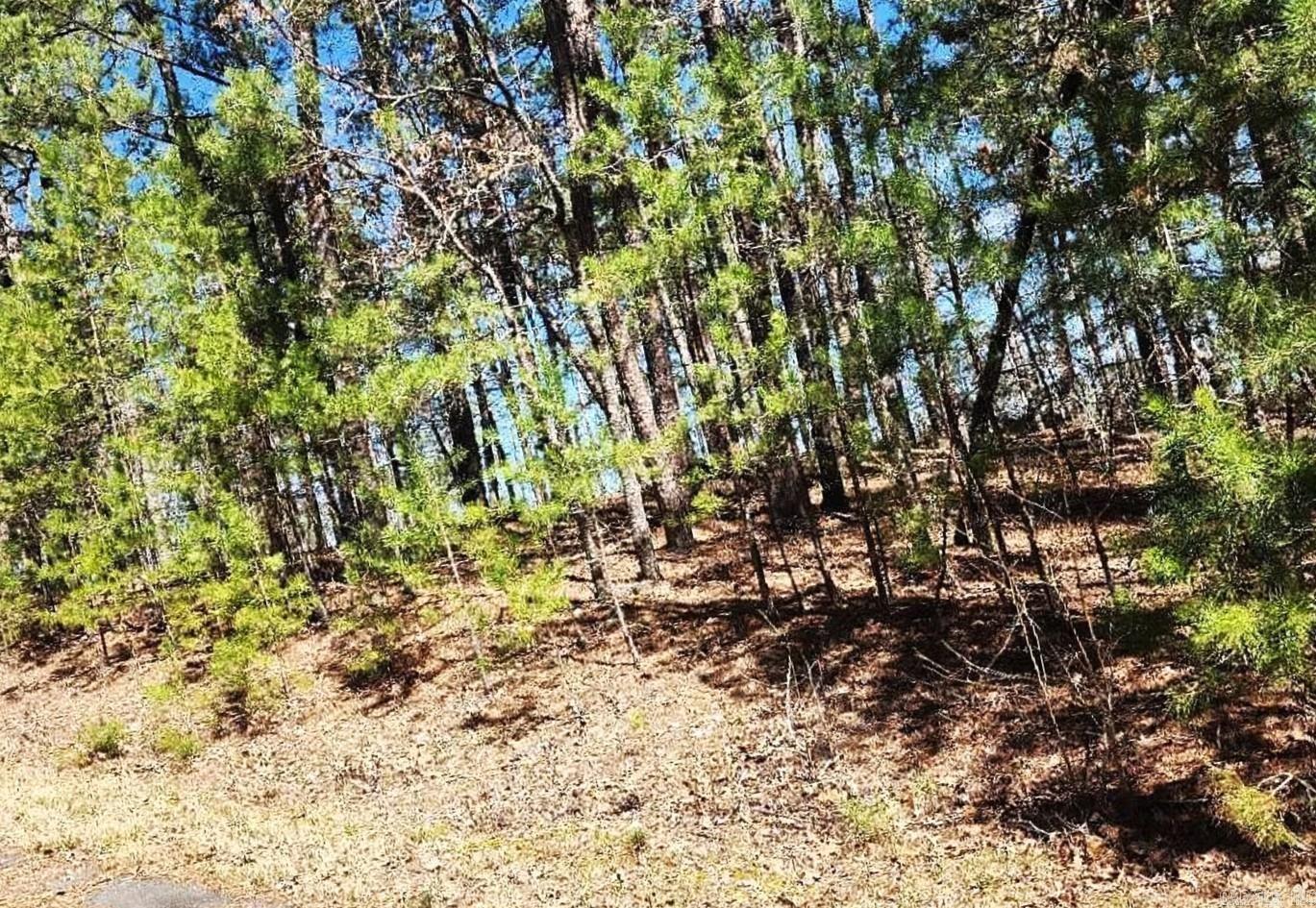 Nice Building Lot in Hot Springs Village. Excellent location. 15,232 square feet. Call the listing agent for additional information. The lot is adjacent and a minute walk away from the Balboa Golf Course. It's also a 7 minutes' drive from Balboa Lake.