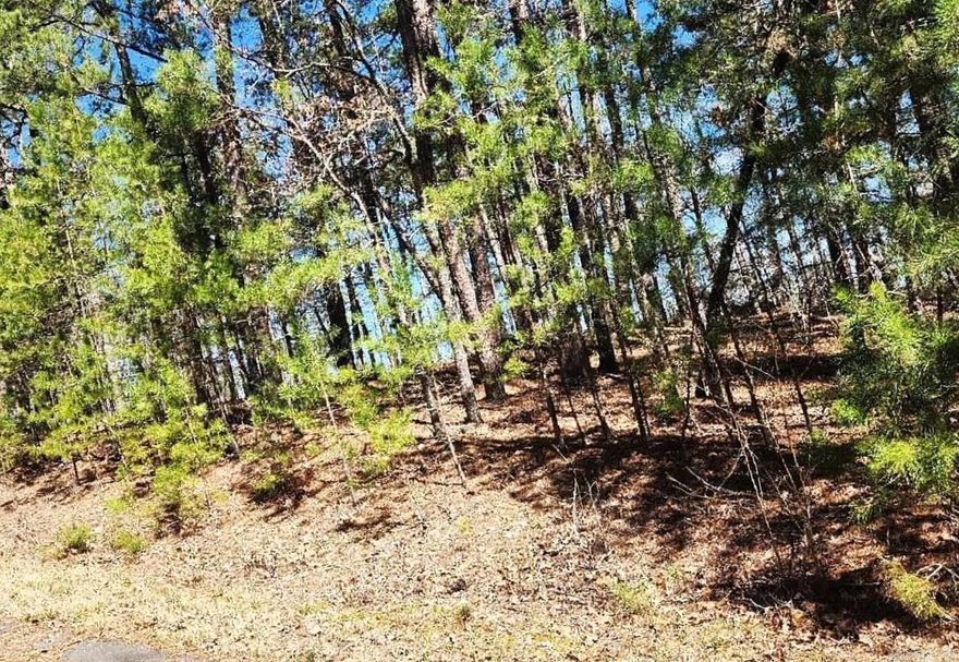 Nice Building Lot in Hot Springs Village.  Excellent location.  15,232 square feet.  Call the listing agent for additional information. The lot is adjacent and a minute walk away from the Balboa Golf Course. It's also a 7 minutes' drive from Balboa Lake.