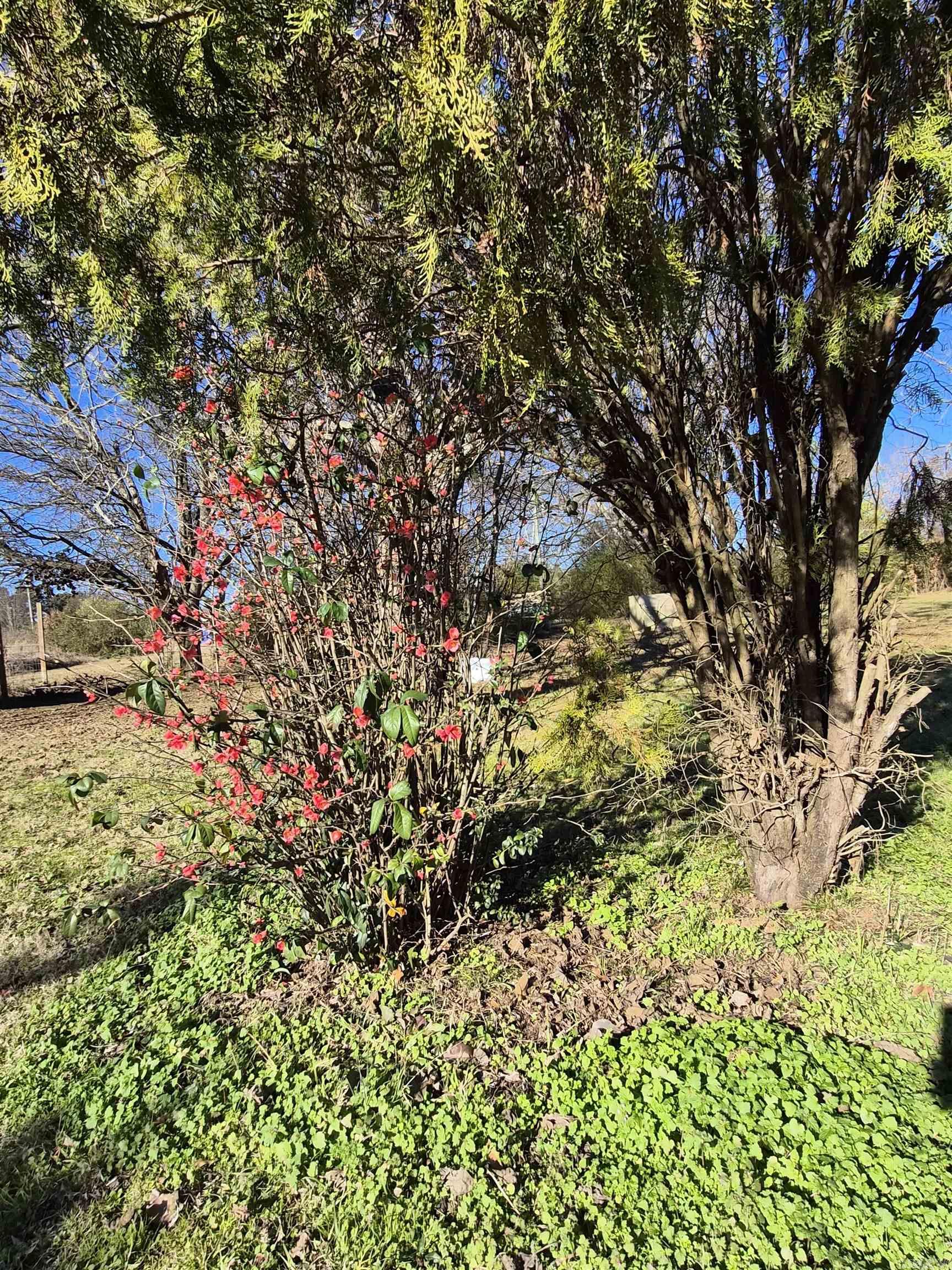 Nevada - Residential