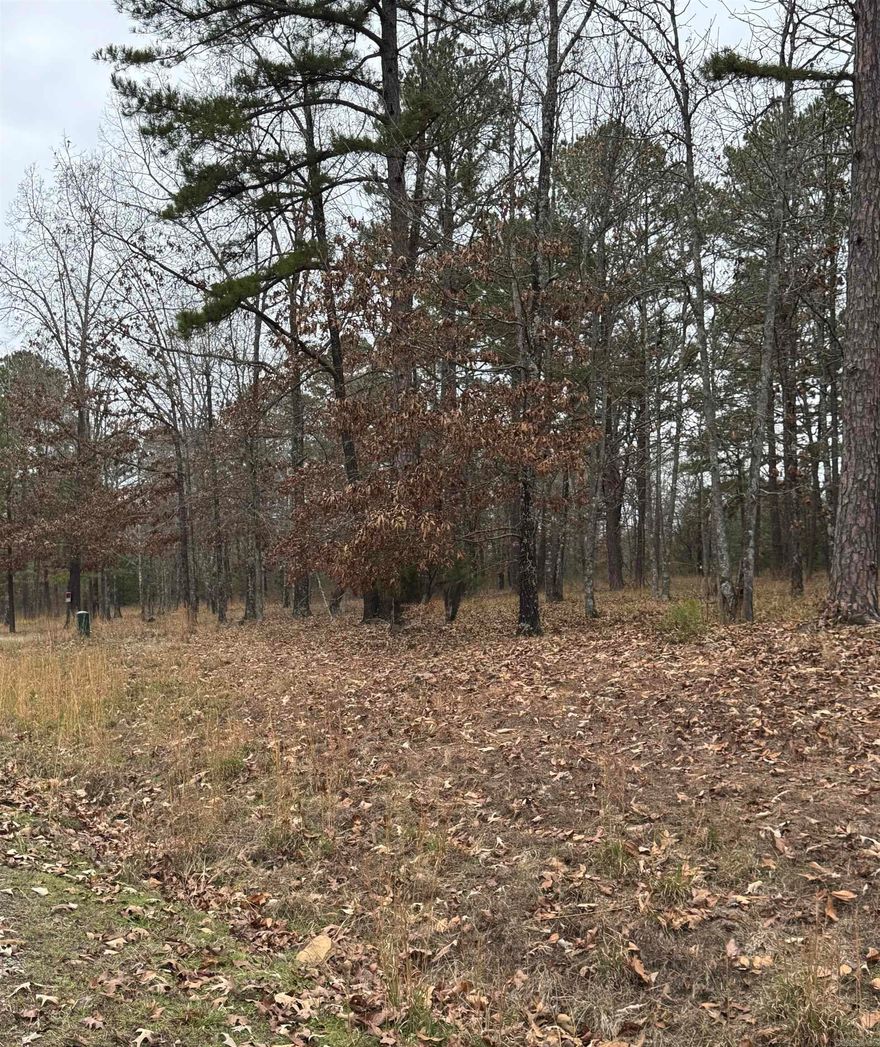 Beautiful wooded lot in the desirable Primrose Creek Subdivision! Enjoy access to the Little Red River with a private community boat dock, launch, and a beautiful pool. This gated neighborhood offers peace and privacy while being just minutes from Greers Ferry Lake, local restaurants and shopping in historic Heber Springs. A perfect spot to build your dream home or getaway retreat!