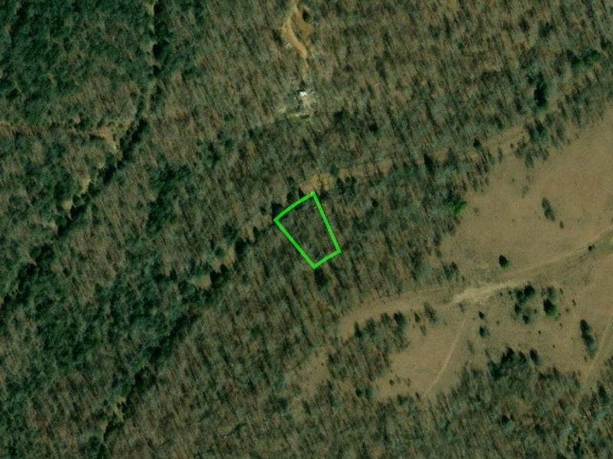 Looking for a secluded area to kick back, have some fun, and be undisturbed? This lot is perfect for your needs then. Build to your desires, live peacefully, and still be close to several area amenities. Enjoy 2 golf courses, 2 pools, 4 lakes, 2 resorts, fishing, swimming, water sports, spa, amazing food, and family fun! This area has plenty to offer with just enough space between tranquil home relaxation and lively entertainment.