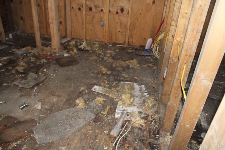 Original Town of Jacksonville - Residential