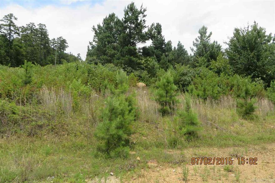 5 lots total for $30,000 or $8500 each.  Bank owned. Beautiful building sites.  See documents for plat, restrictions.