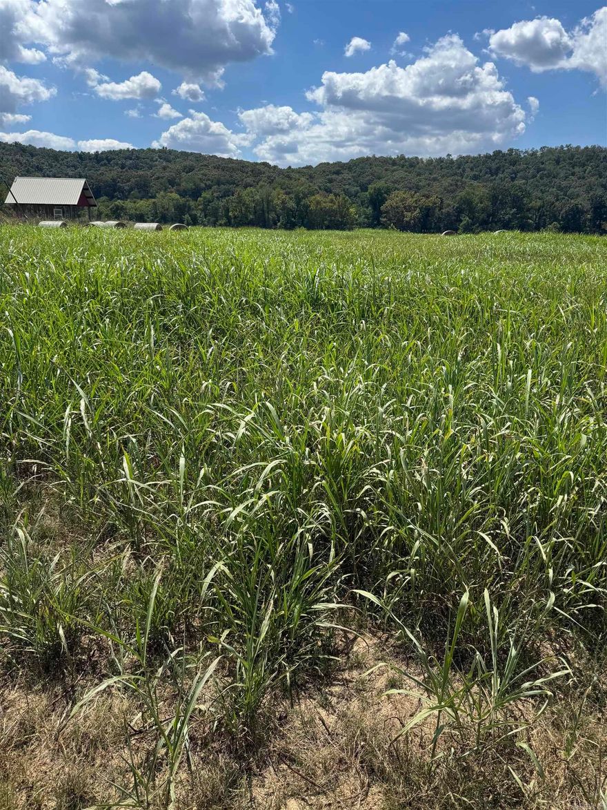 2 large river lots in White River Run with frontage on the world famous White River in the beautiful Arkansas Ozarks! Great river access and beautiful views of the bluffs! Peace, privacy, and seclusion on one of America's premiere trout streams in the Ozarks.