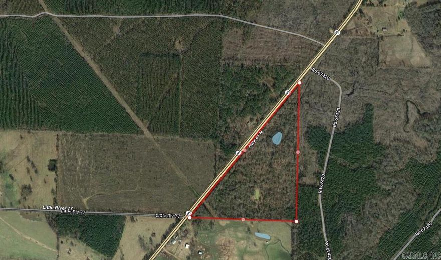 This 48 acre tract of Highway frontage has a mixture hardwood and pine timber.