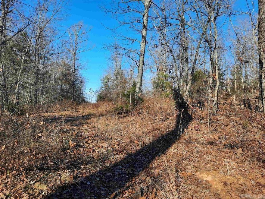 Untamed prime hunting land. this property is far enough out of town for you to have your privacy but close enough to be convenient. Build you a hunting cabin or home. There is a utility easement for electric. must dig a well for water. come and check this out.