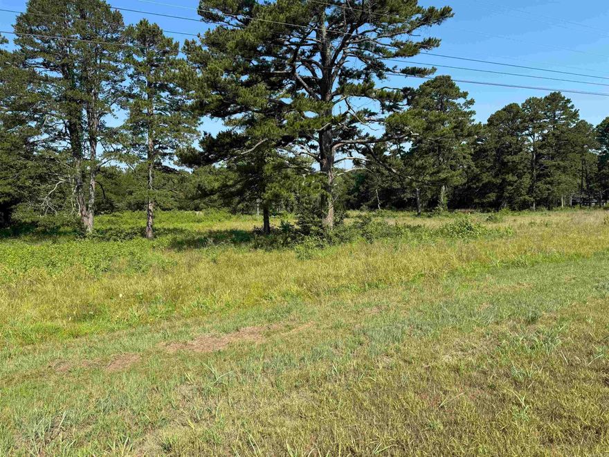 Wow what a Nice piece of Property. 6.86 acres right in the middle of town next to Greers Ferry City Hall.  570 FT of HWY 16 Frontage. Property is level & cleared. Endless possibilities for what you can do with this property. Great building site for any type of business.  Drive by and give us a call today.