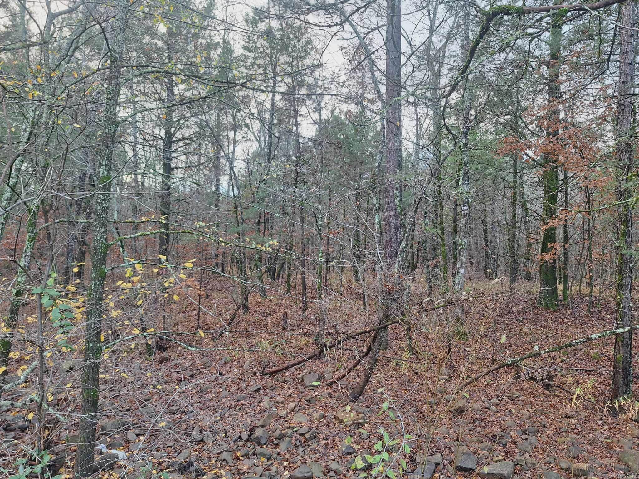 Metes & Bounds - Land