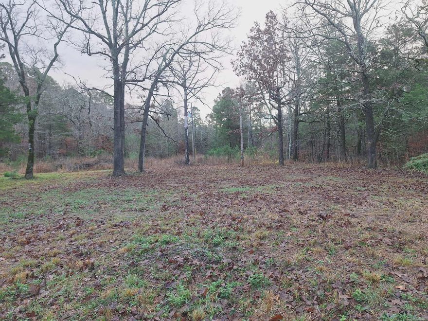 National Forest Boundaries, right next to Fourche Mountain Staging Area.  Ride to the trails! This property would be perfect for a getaway cabin or making your next business adventure as a RV park or campground!