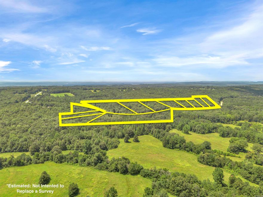 Whether you're dreaming of a custom home or land to develop, this property offers endless possibilities with 31.69 acres subdivided into 12 LOTS! Located in Springfield, this property offers the perfect blend of seclusion and convenience, just minutes away from Nemo Vista school district. This rolling, wooded acreage filled with mature trees and wildlife is also ideal for a private homesite.  Bring your ideas and your boots--come walk this beautiful property and discover this hidden rural gem.