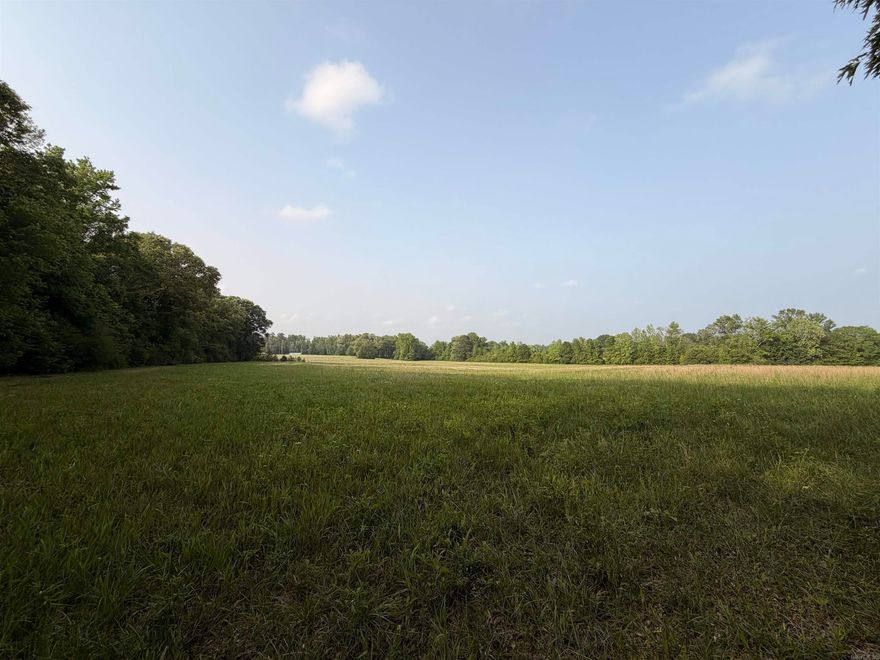 Beautiful 12 +/- acre homesite offering privacy & space, rolling hills, and a peaceful country setting. This tract sits behind the front parcels and will include a 50-ft deeded easement for convenient access. The land features a blend of open areas and mature trees, providing multiple options for building your dream home with plenty of room to spread out. If you’re looking for a quiet setting with the flexibility to design the property the way you want, this acreage is an excellent opportunity. Survey to be completed by seller upon accepted offer. Minimum 2100 H/C sq ft build. Perc test is needed.