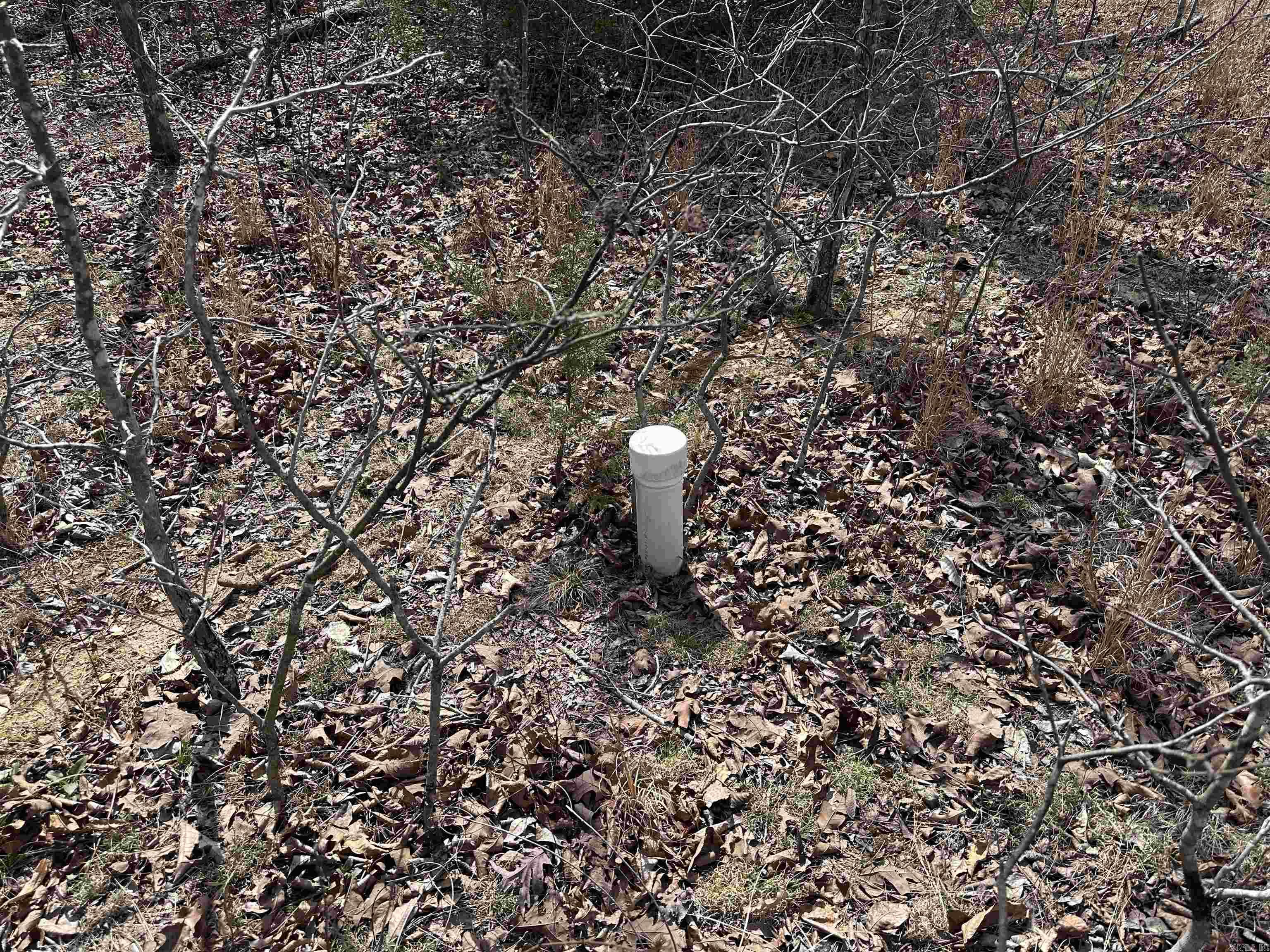 Woodhaven Estates - Land