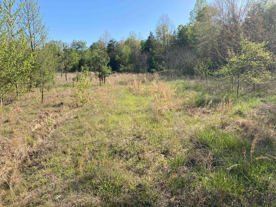 Come see this 20 acre property, located just off a county road. It is close to town yet offers plenty of seclusion.  The land features a mix of open wooded areas, ideal for a variety of uses. It’s a prime spot for hunting deer, turkey and other wildlife in the area.  The acreage is less than 4 miles from White River access and approximately 12 miles from a boat launch on Norfork Lake, making this property perfect for outdoor enthusiasts to explore recreational activities.  While this is a great location for going off-grid, electricity is available in the nearby area. This 20 acres is only listed for $65,000.