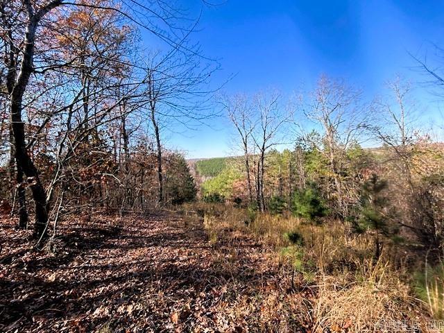 No. 25007  UNRESTRICTED WOODED ACREAGE.  Check out this 38 acre wooded parcel with a small creek. Great building sites.  Plenty of wildlife.  Utility and road easement in place. Paved road access.  10 minutes to Greers Ferry Lake.  Mineral Rights will convey.   Call today for further details. $133,000