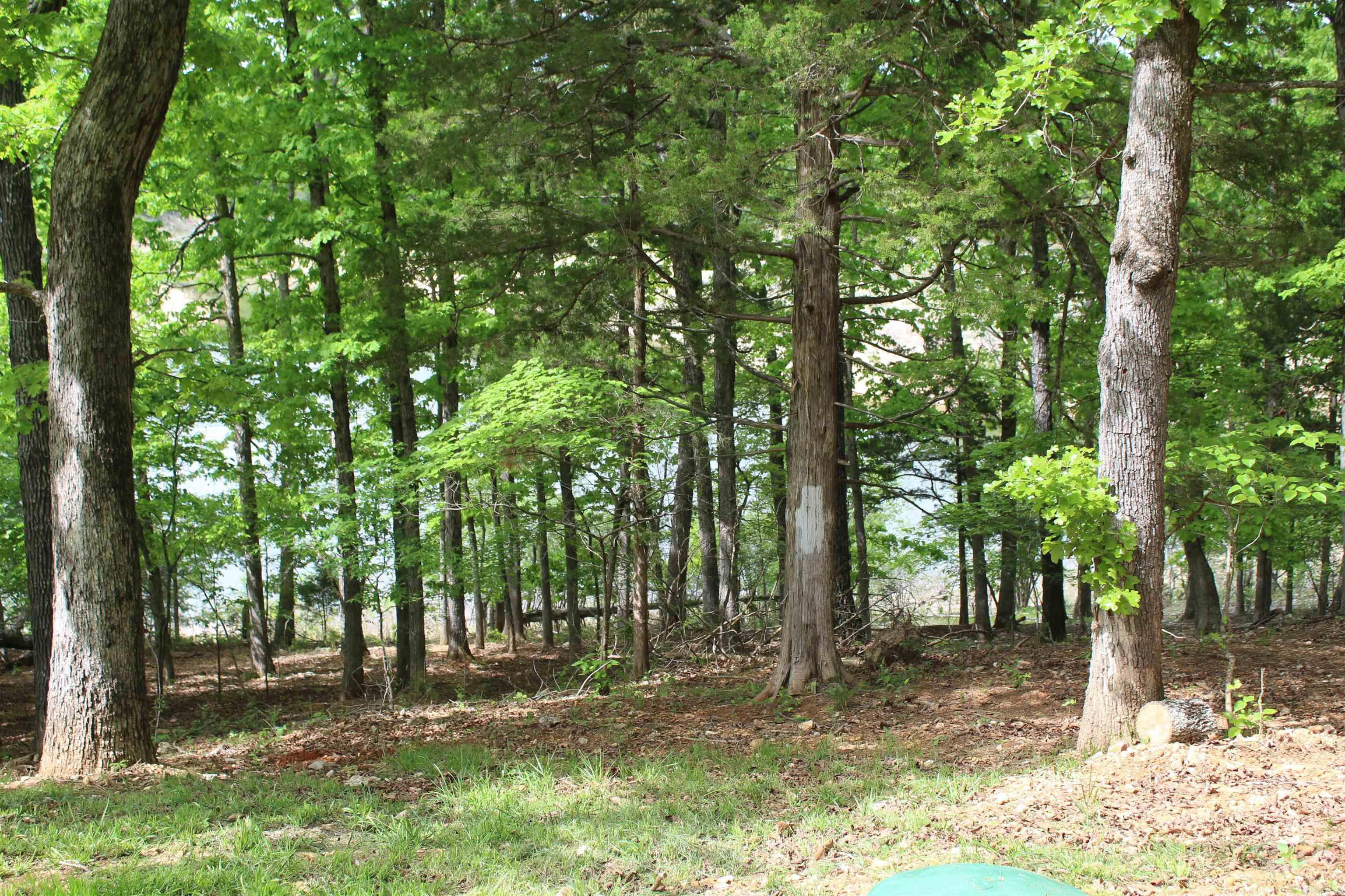 BULL SHOALS - Residential