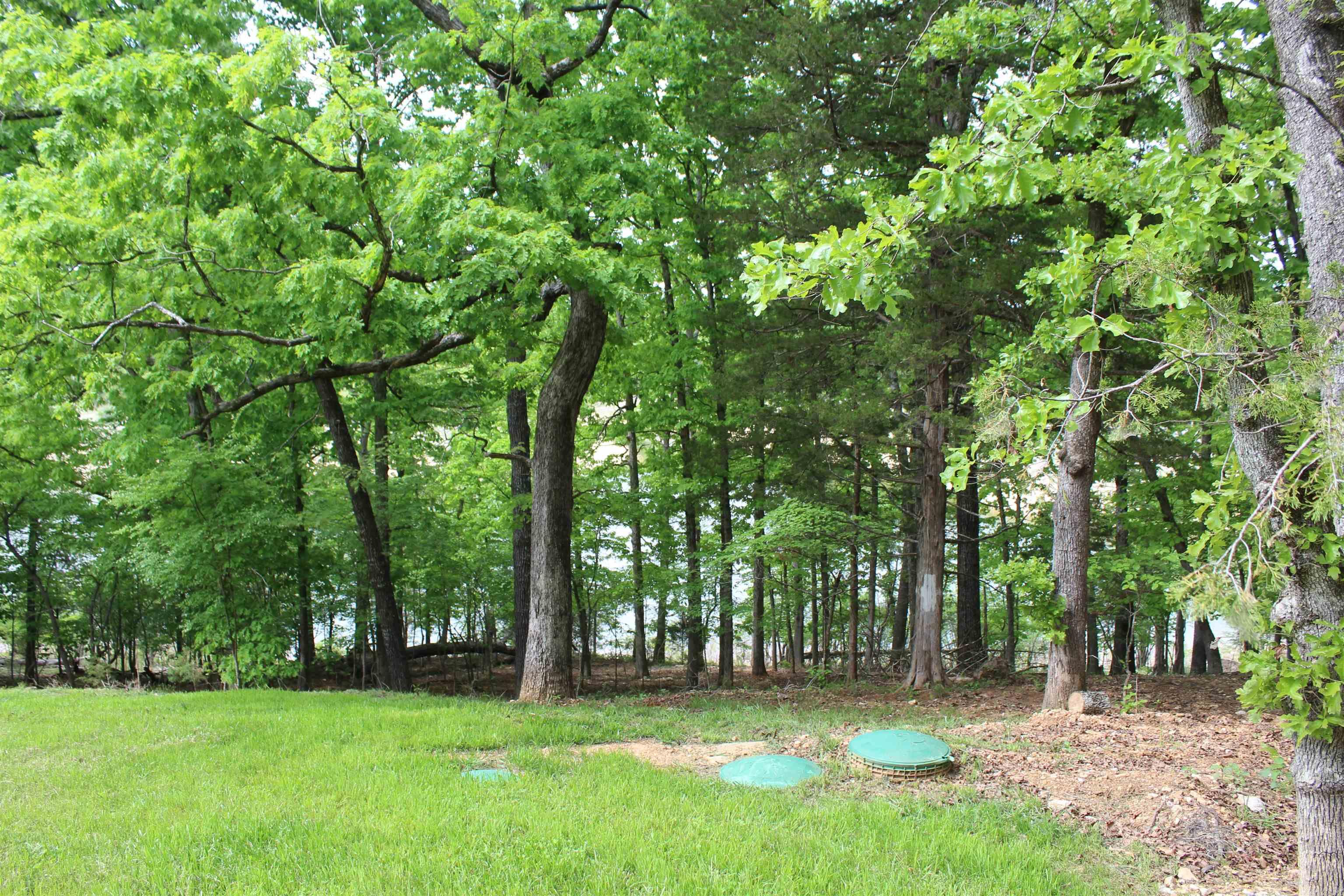 BULL SHOALS - Residential