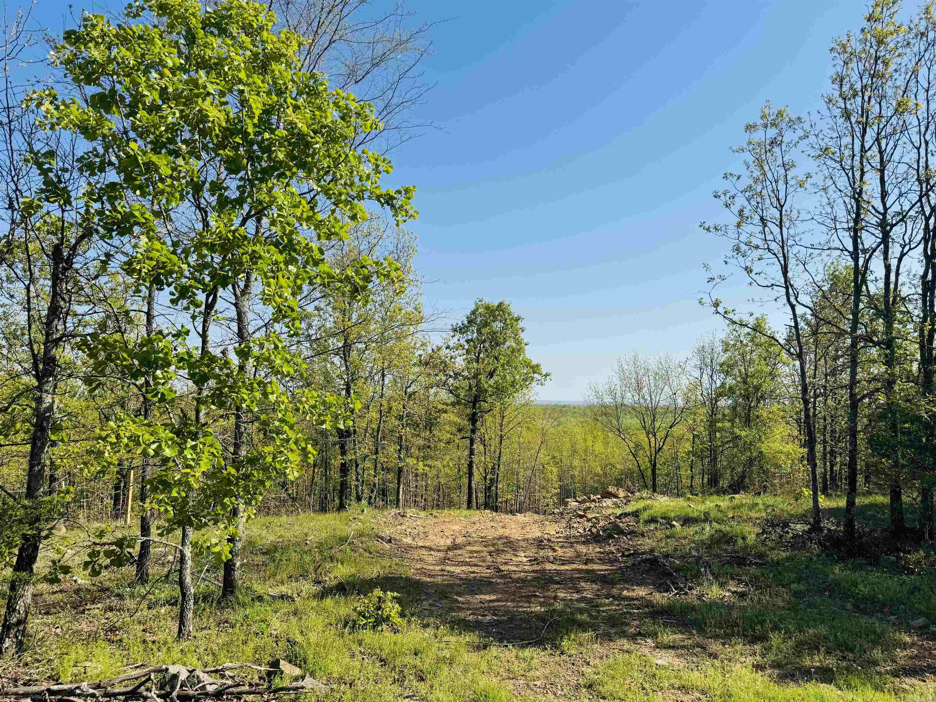 Saltillo Heights - Land