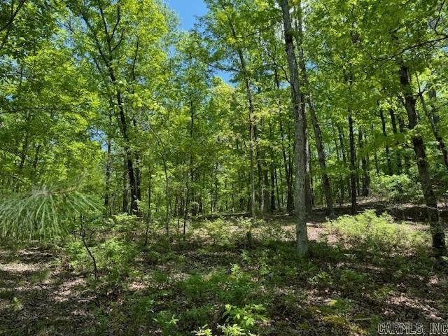 Brushy Mountain - Land