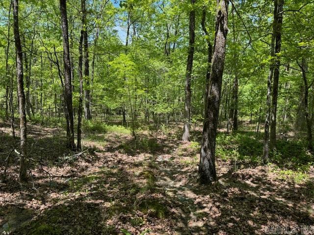 Brushy Mountain - Land