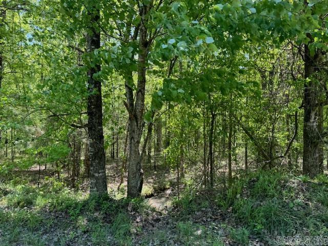 Brushy Mountain - Land