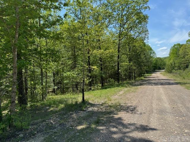 Brushy Mountain - Land