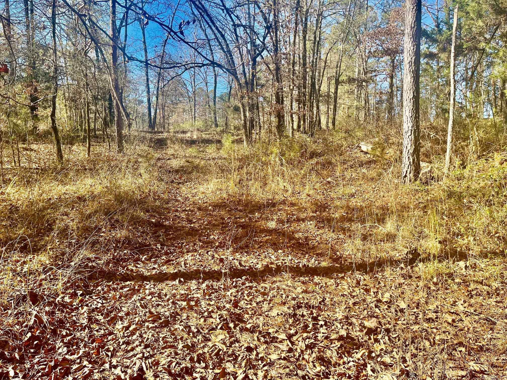 Metes & Bounds - Land