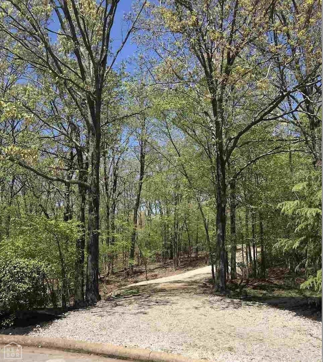 Ridgepointe Country Club - Land