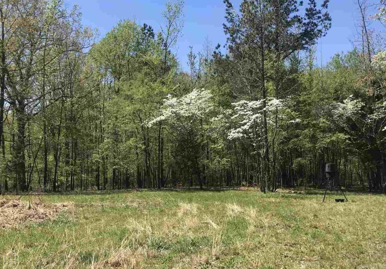 Ridgepointe Country Club - Land