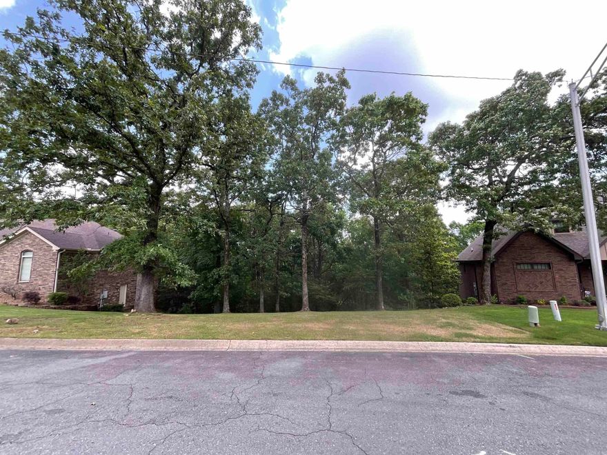 Overbrook is an amazing neighborhood. This is a great lot that backs up to the 5 mile creek and a running trail!