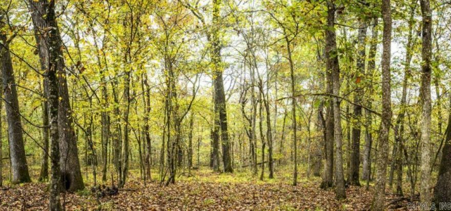 Wooded 9.75 acres, all utilities, Has two access points, kanis and Parkway Place, close to Chenal parkway. Five minutes from interstate.