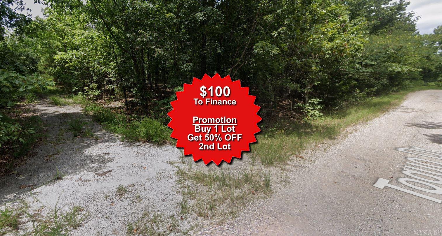 Buy one lot and get 50% off an additional lot! Part of a set of adjoining lots available. Owner-finance for easy terms. Cash buyers can pay by debit or credit card as well. Nice lot to develop or hold for future value. Public water and electric are available to run to property and will need septic. Owner/agent. No mobiles allowed. 300-2500 minimum build size on any other type of home, depending on subdivision. Finance is 5 months at $237 and closing costs are included. Buyer responsible for any back, current and future taxes owed on this property. Lots marked with red banner are part of promotion. No limit on lots. Buyer responsible for any/all taxes and lots sold "as-is". Quit claim deed conveys. Parcel ID# 200-13811-000