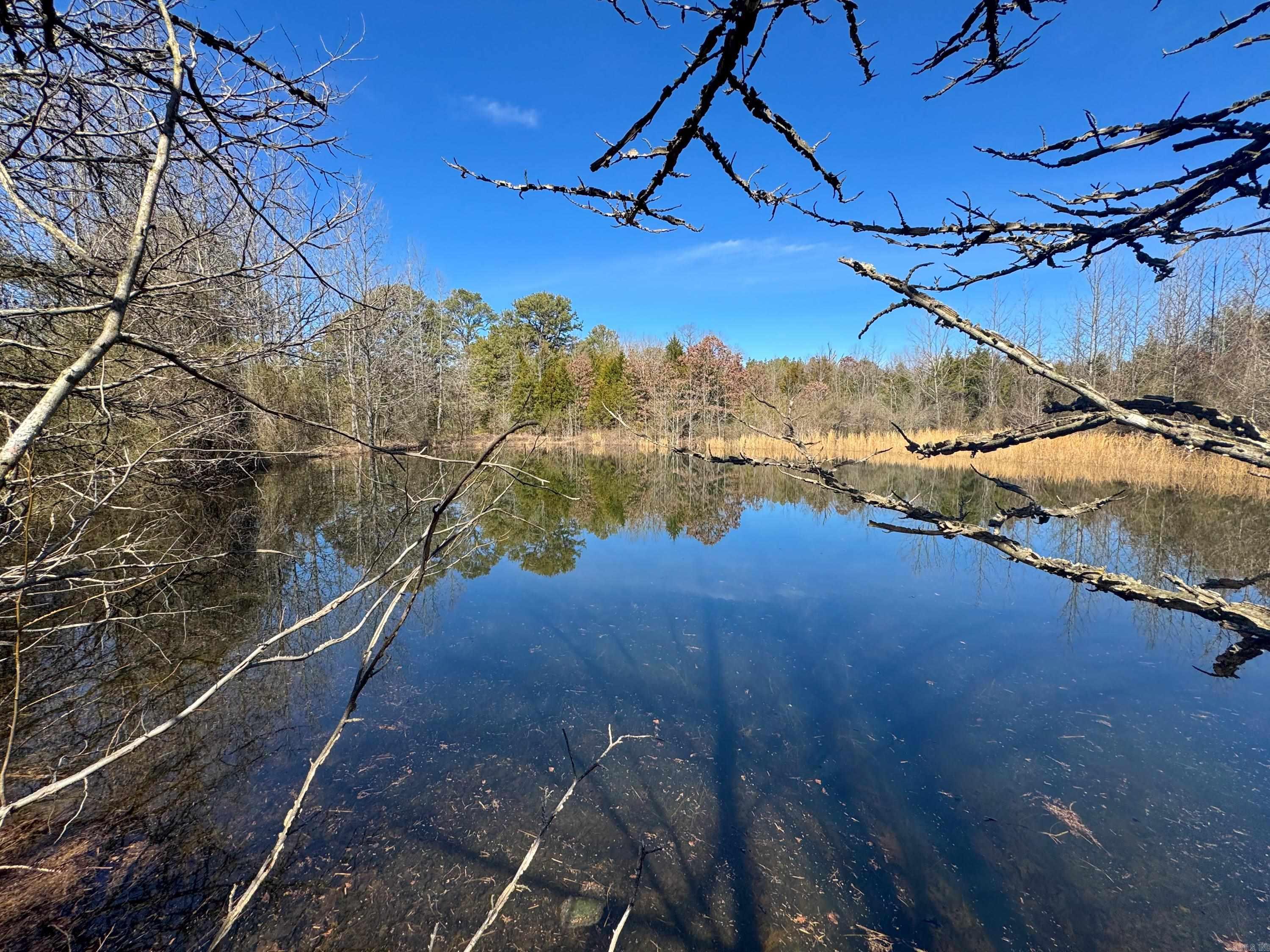 Stunning 177-acre contiguous tract of land just over the Van Buren county line, but still within the Quitman School district. It's rare to find this much land still together, especially so close to Highway 65 and Greers Ferry Lake. This is an exceptional hunting and recreation property. There is an abundance of wildlife, and fantastic shooting lanes are set up throughout the property. The property has a mix of wooded and cleared areas, along with some of the biggest oaks you'll find around. An old house place sits atop the highest elevation. A few of the barns are still in good condition and usable. There is potential in several areas for a sweeping vista view. Electric is run to the old homesite, and there is an old well house out back. Public water will be available on Fairbanks Rd. Creeks and springs are dotted throughout the property, making perfect watering holes for wildlife. There is also a sizeable pond and nice trails around much of the property. Use half for your home and livestock while you hunt on the other half. Or, build a lodge and bring your entire hunting club. Excellent cell phone reception. This is a truly beautiful spot.
